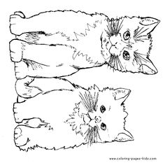 cat coloring pages owen – Free Printables